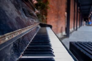 polski zespół muzyczny jak owady