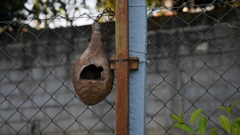 co to jest singiel muzyczny