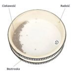 Bęben oceaniczny przezroczysty widziany z góry z rozsypanymi kuleczkami