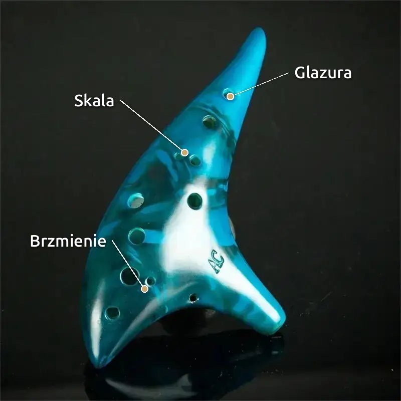 Etui chroni podczas przenoszenia